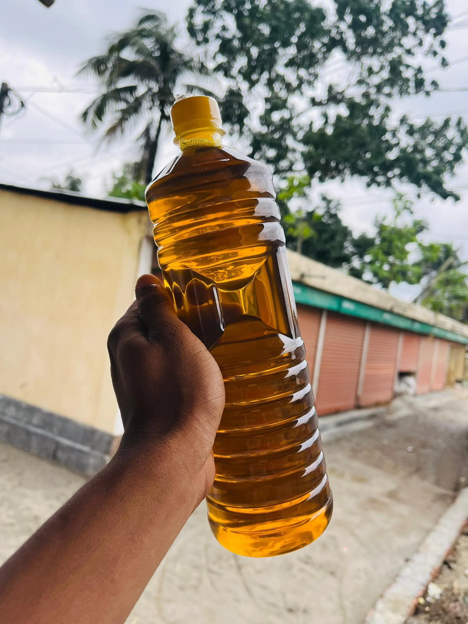 প্রিমিয়াম সরিষার  তেল ১ লিটার image 2